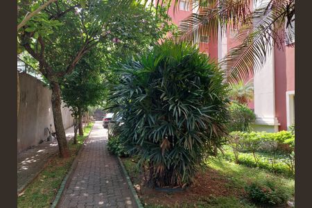 Apartamento para alugar com 75m², 3 quartos e 1 vaga Apartamento para alugar com 75m², 3 quartos e 1 vagaÁrea Comum