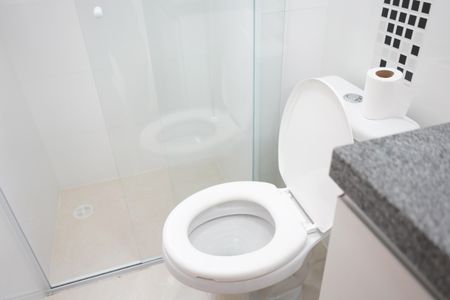 Banheiro de apartamento para alugar com 1 quarto, 41m² em Vila Invernada, São Paulo