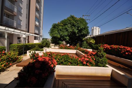 Apartamento para alugar com 65m², 3 quartos e 1 vagaJardim