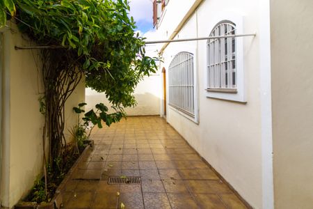 Casa à venda com 240m², 5 quartos e 3 vagasQuintal