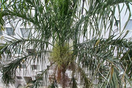 Apartamento à venda com 51m², 2 quartos e 1 vaga Apartamento à venda com 51m², 2 quartos e 1 vagaVista da Sala