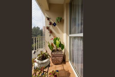 Apartamento para alugar com 75m², 3 quartos e 2 vagas Apartamento para alugar com 75m², 3 quartos e 2 vagasVaranda da Sala