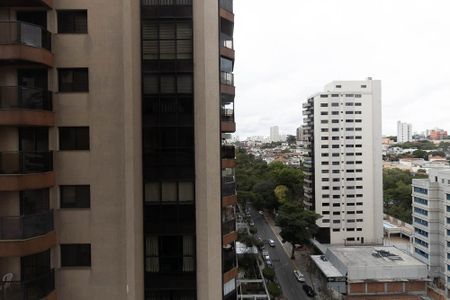 Apartamento à venda com 300m², 4 quartos e 4 vagasVista da Varanda da Sala 1