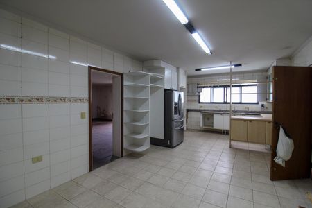 Apartamento à venda com 280m², 5 quartos e 1 vagaCozinha