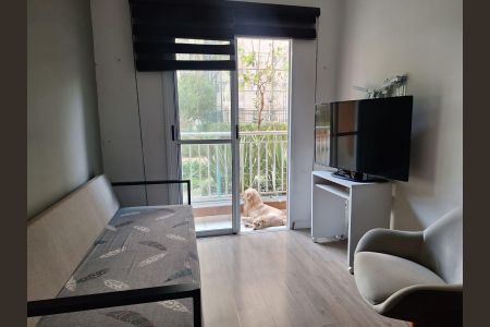 Apartamento à venda com 3 quartos, 69m² em Vila Moreira, São Paulo