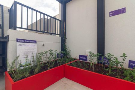 Apartamento à venda com 27m², 1 quarto e sem vagaÁrea comum - Horta