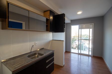 Cozinha de apartamento para alugar com 1 quarto, 29m² em Ferreira, São Paulo