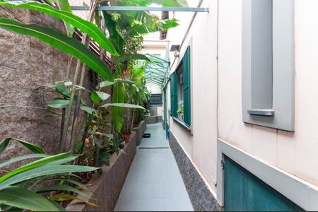 Casa de condomínio à venda com 229m², 4 quartos e 2 vagas Casa de condomínio à venda com 229m², 4 quartos e 2 vagasÁrea Externa