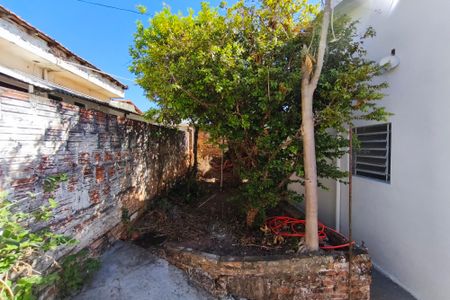 Casa à venda com 150m², 3 quartos e 2 vagas Casa à venda com 150m², 3 quartos e 2 vagasQuintal - Fundos