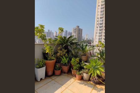 Apartamento para alugar com 206m², 3 quartos e 2 vagas Apartamento para alugar com 206m², 3 quartos e 2 vagasÁrea Externa