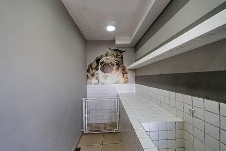 Apartamento para alugar com 45m², 2 quartos e 1 vaga Apartamento para alugar com 45m², 2 quartos e 1 vagaEspaço Pet