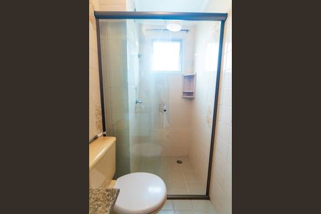 Apartamento à venda com 50m², 2 quartos e 1 vagaBanheiro Detalhe