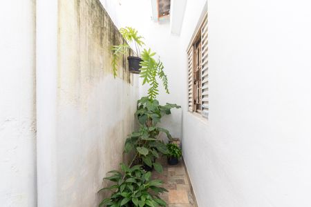 Casa à venda com 59m², 2 quartos e 2 vagas Casa à venda com 59m², 2 quartos e 2 vagasÁrea comum