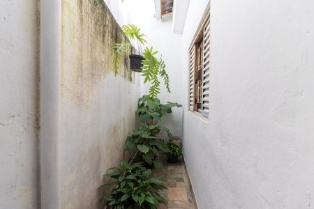 Casa à venda com 59m², 2 quartos e 2 vagas Casa à venda com 59m², 2 quartos e 2 vagasÁrea comum