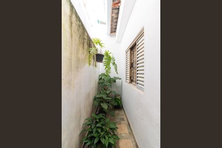 Casa à venda com 59m², 2 quartos e 2 vagas Casa à venda com 59m², 2 quartos e 2 vagasÁrea comum