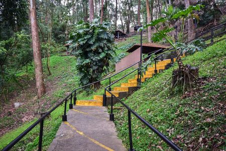 Apartamento para alugar com 54m², 2 quartos e 2 vagasBosque