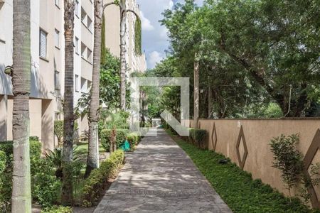 Apartamento para alugar com 54m², 3 quartos e 1 vagaÁrea comum