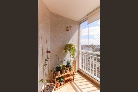 Varanda de apartamento à venda com 3 quartos, 65m² em Catumbi, São Paulo