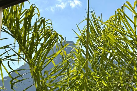 Apartamento para alugar com 290m², 4 quartos e 3 vagasHall Corredores - Vista