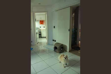 Casa de condomínio para alugar com 390m², 5 quartos e 5 vagas Casa de condomínio para alugar com 390m², 5 quartos e 5 vagasCozinha