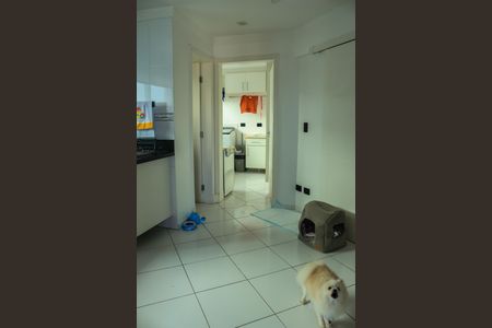 Casa de condomínio para alugar com 390m², 5 quartos e 5 vagas Casa de condomínio para alugar com 390m², 5 quartos e 5 vagasCozinha