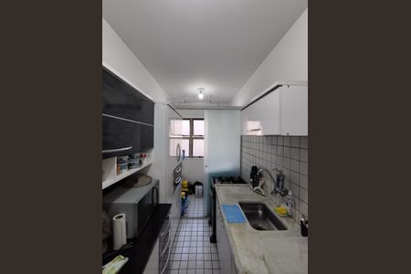 Apartamento à venda com 62m², 3 quartos e 1 vagaCozinha - Armários