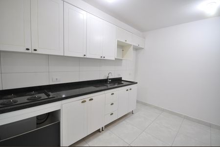 Apartamento para alugar com 46m², 2 quartos e sem vagaCozinha