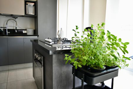 Apartamento à venda com 109m², 2 quartos e 2 vagasCozinha (Cobertura)