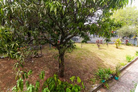 Apartamento para alugar com 56m², 3 quartos e 1 vagaVista do Quarto 2