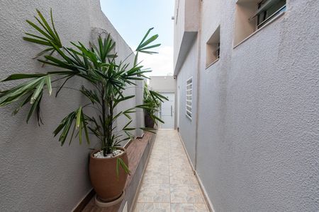 Área comum - Academia de apartamento para alugar com 1 quarto, 20m² em Ipiranga, São Paulo