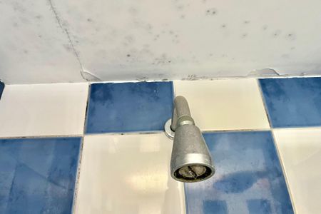 Apartamento à venda com 99m², 3 quartos e 2 vagasBanheiro da Suíte