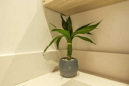Banheiro de kitnet/studio para alugar com 1 quarto, 25m² em Santana, São Paulo