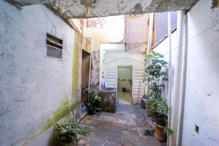 Casa à venda com 270m², 5 quartos e 3 vagasQuintal