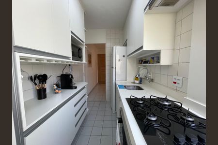 Apartamento à venda com 50m², 2 quartos e 1 vagaCozinha