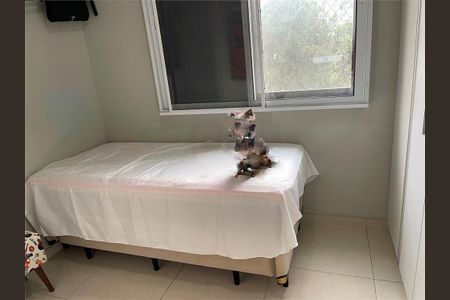 Apartamento à venda com 3 quartos, 69m² em Jardim Taquaral, São Paulo