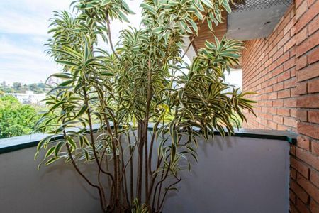 Apartamento à venda com 179m², 4 quartos e 3 vagas