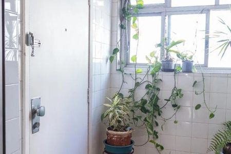 Apartamento à venda com 290m², 4 quartos e 4 vagas Apartamento à venda com 290m², 4 quartos e 4 vagasFoto 21