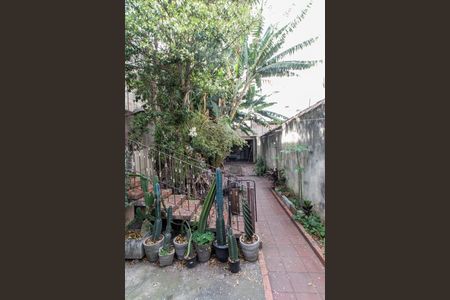 Casa à venda com 250m², 4 quartos e 2 vagasQuintal