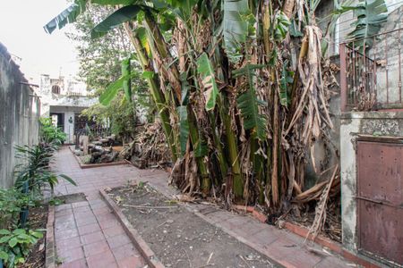 Casa à venda com 250m², 4 quartos e 2 vagasQuintal