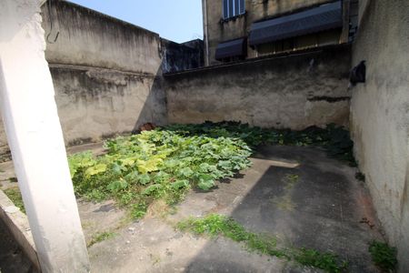 Casa para alugar com 58m², 2 quartos e sem vagaQuintal