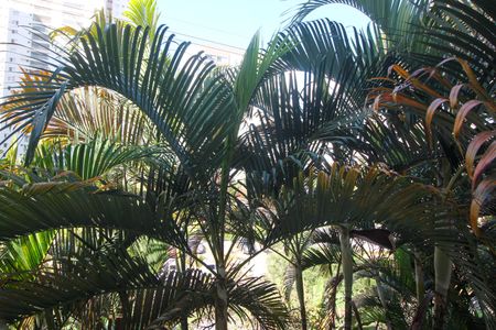 Apartamento à venda com 55m², 2 quartos e 1 vagaVista do Quarto 2