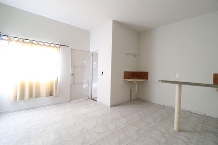 Sala/Quarto de kitnet/studio para alugar com 1 quarto, 42m² em Santa Mônica, Uberlândia