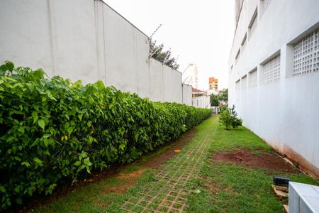 Apartamento à venda com 220m², 3 quartos e 4 vagas Apartamento à venda com 220m², 3 quartos e 4 vagasÁrea comum - Pista de caminhada