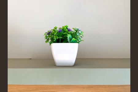 Studio de apartamento para alugar com 1 quarto, 28m² em Barra Funda, São Paulo