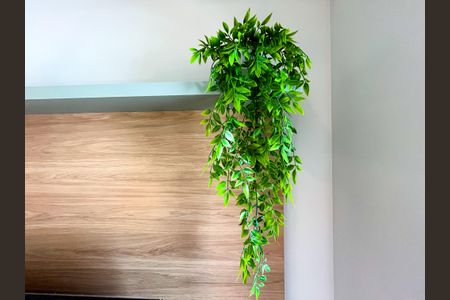 Apartamento para alugar com 28m², 1 quarto e sem vaga Apartamento para alugar com 28m², 1 quarto e sem vagaStudio