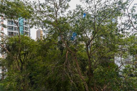 Apartamento à venda com 75m², 2 quartos e 1 vagaSacada Vista 