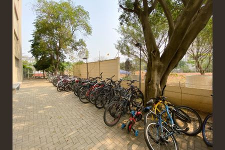 Apartamento para alugar com 44m², 2 quartos e 1 vagaÁrea comum - Bicicletário