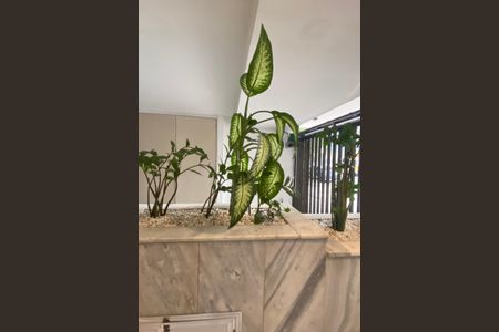 Apartamento à venda com 75m², 2 quartos e 1 vagaHall de entrada