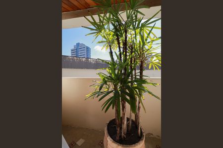 Apartamento à venda com 174m², 3 quartos e 2 vagasSacada da suíte 1