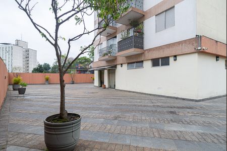 Apartamento à venda com 50m², 1 quarto e 1 vagaÁrea comum - Pátio